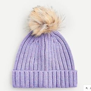 J. Crew Beanie Hat